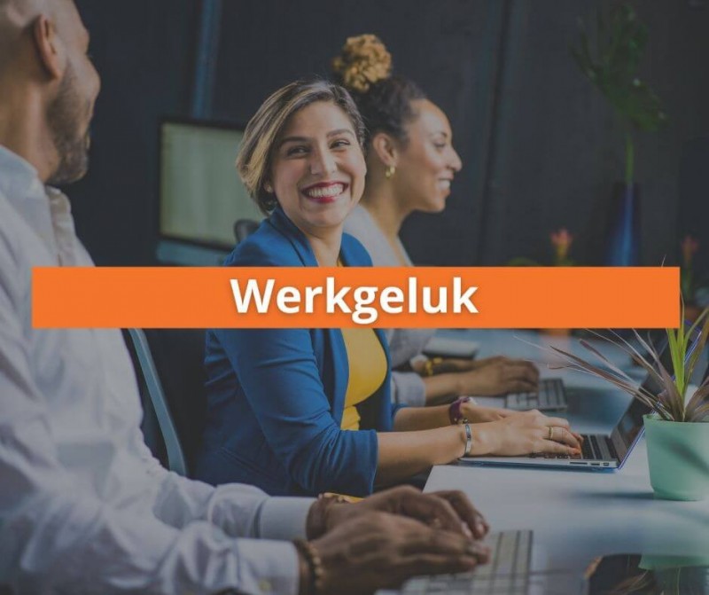 artikel werkgeluk gj hr partner 1